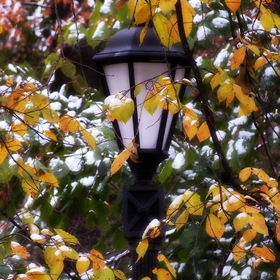 Осенний этюд с фонариком