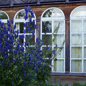 Дом, окнами в сад...