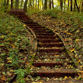Вверх по лестнице, ведущей в осень...